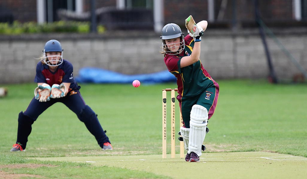 Cricket Leinster