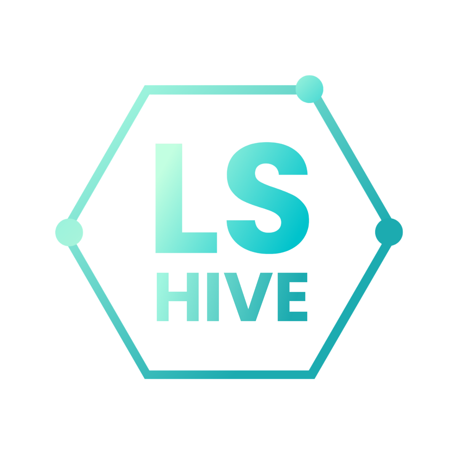 LS Hive